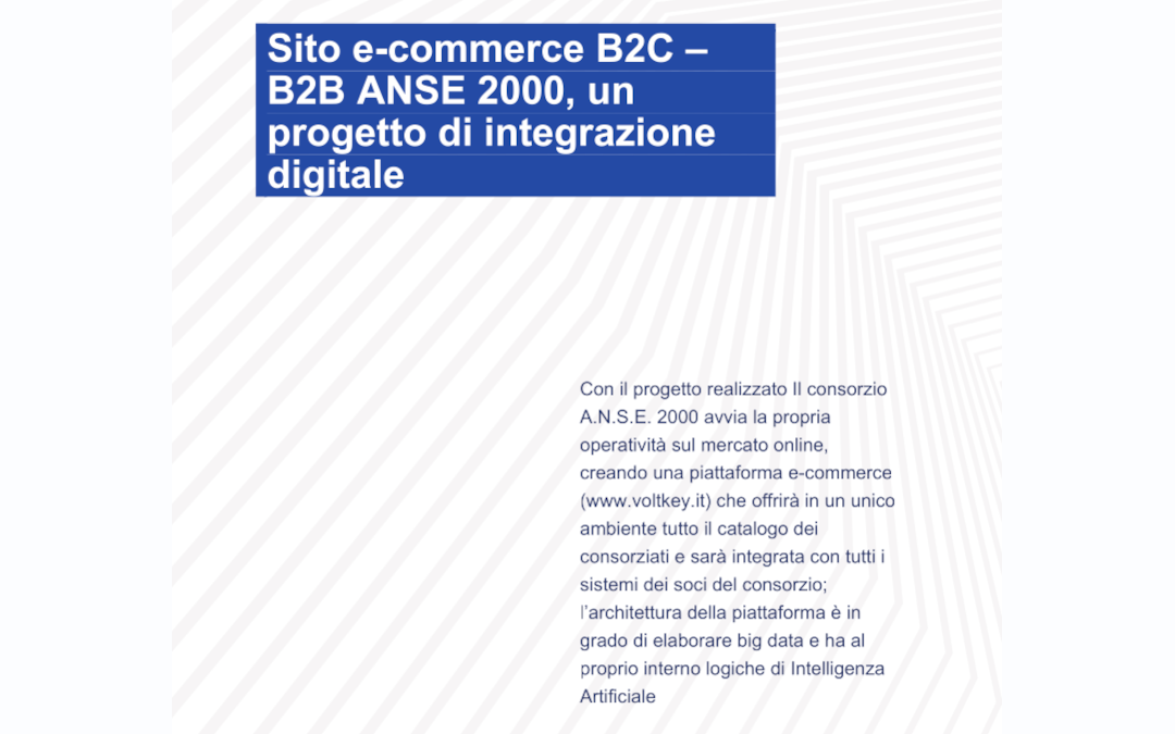 Progetto Voltkey